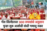 गॅस सिलेंडरवर 300 रुपयांचे अनुदान पुन्हा सुरू; अर्जाची संधी गमावू नका Gas Cylinder Subsidy