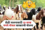 शेळी पालनासाठी 10 लाख रुपये मोफत सरकारची ही योजना माहितीय का? Goat Framing Scheme