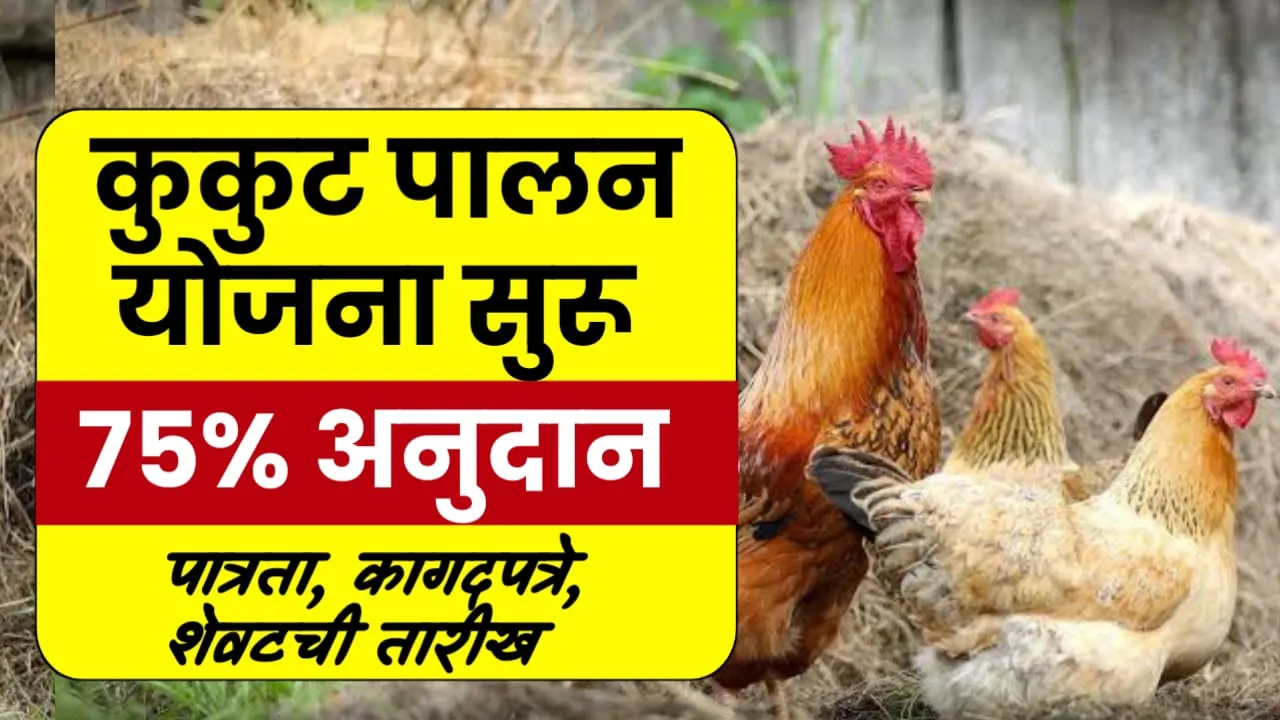 आता कुक्कुटपालन करिता 10 लाखांचे अनुदान अर्जाची अंतिम संधी! Kukut Palan Yojana