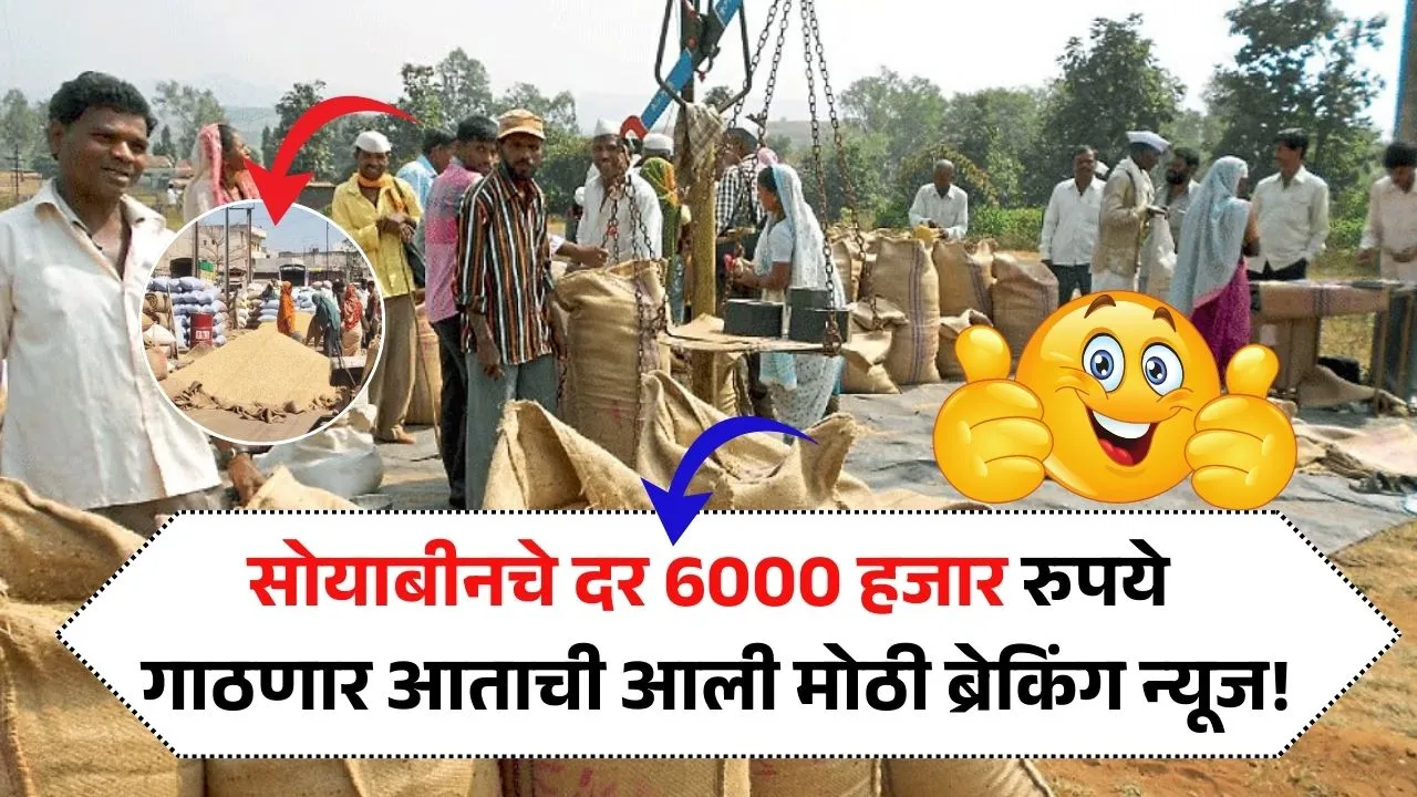 सोयाबीनचे दर 6000 हजार रुपये गाठणार आताची आली मोठी ब्रेकिंग न्यूज! Soyabean Bhav Aajcha